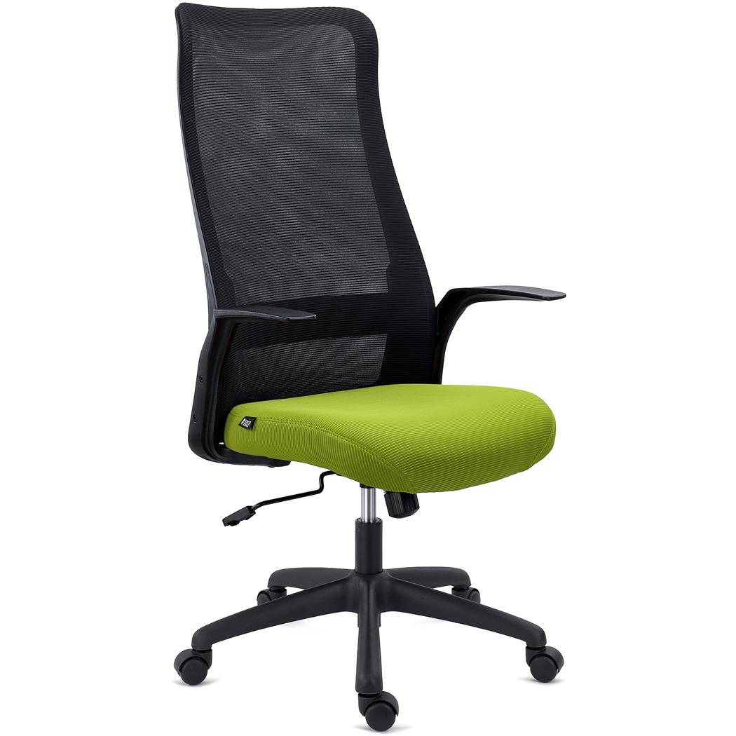 Ergonomische Bureaustoel SIERRA, Elegant Ontwerp, Lendensteun, Groene Mesh Stof