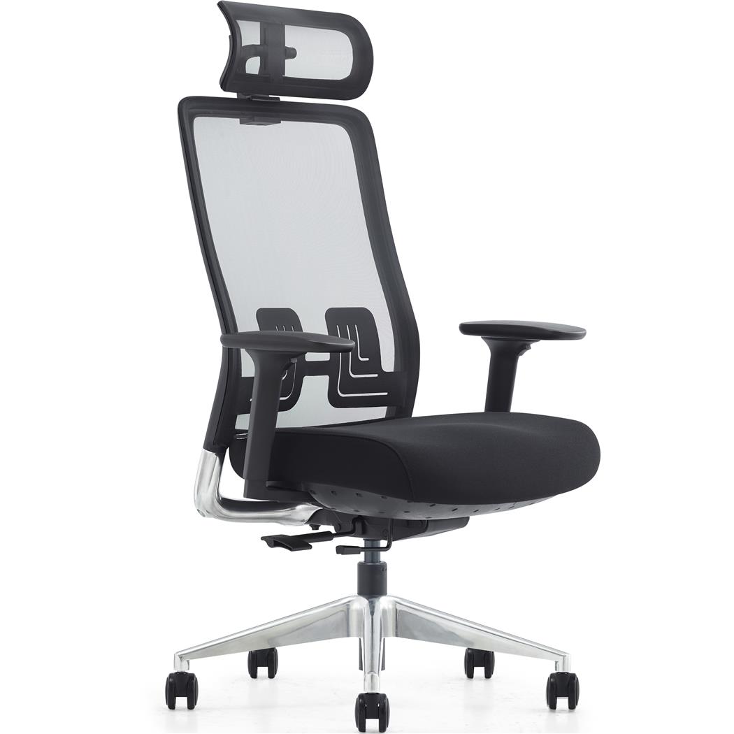 Ergonomische Bureaustoel EVORA, Diepteverstelling Zitting, Extra fijne Mesh Rugleuning, Zwart 