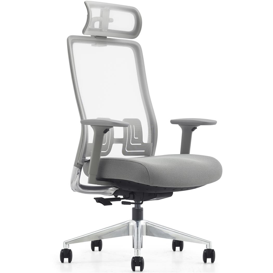 Ergonomische Bureaustoel EVORA, Diepteverstelling Zitting, Extra fijne Mesh Rugleuning, Grijs