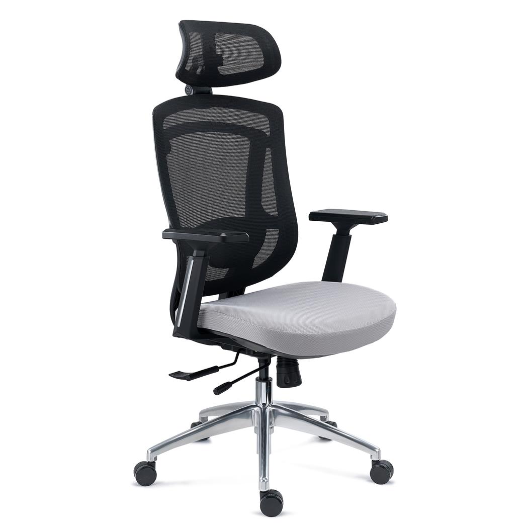 DEMO# Ergonomische bureaustoel ASTON, 3D Lendensteun, Verstelbare Zitting, Grijs