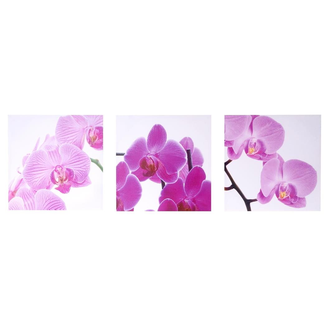 Drieluik Wanddecoratie ROZE ORCHIDEEËN Bestaande uit 3 Delen, afmetingen 50x150 cm