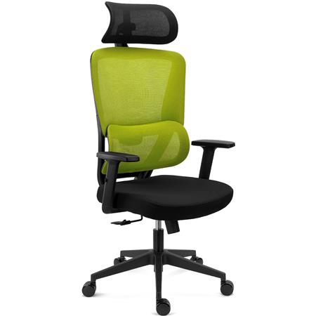 Ergonomische Bureaustoel SUPRA, Hoofdsteun, Lendensteun, Mesh en Stof, Groen