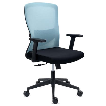 Ergonomische Bureaustoel NOTE, Gebruik 8h, Gewatteerde Lendensteun, Metalen Structuur, Grijs