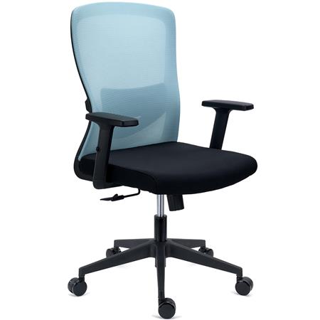 Ergonomische Bureaustoel NOTE, Gebruik 8h, Gewatteerde Lendensteun, Metalen Structuur, Groen