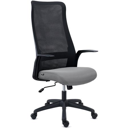 Ergonomische Bureaustoel SIERRA, Elegant Ontwerp, Lendensteun, Grijze Mesh Stof