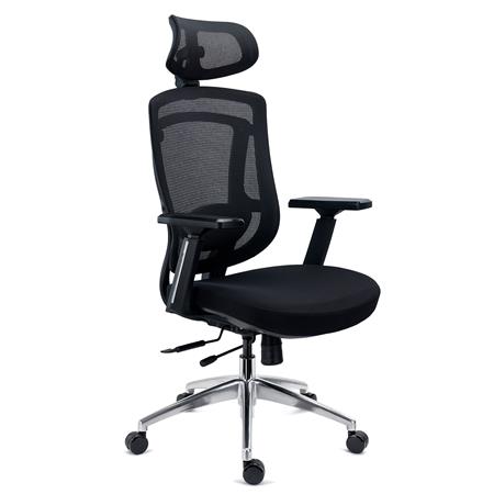 Ergonomische bureaustoel ASTON, 3D Lendensteun, Verstelbare Zitting, Zwart