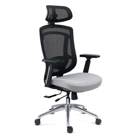 Ergonomische bureaustoel ASTON, 3D Lendensteun, Verstelbare Zitting, Grijs