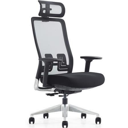 Ergonomische Bureaustoel EVORA, Diepteverstelling Zitting, Extra fijne Mesh Rugleuning, Zwart 