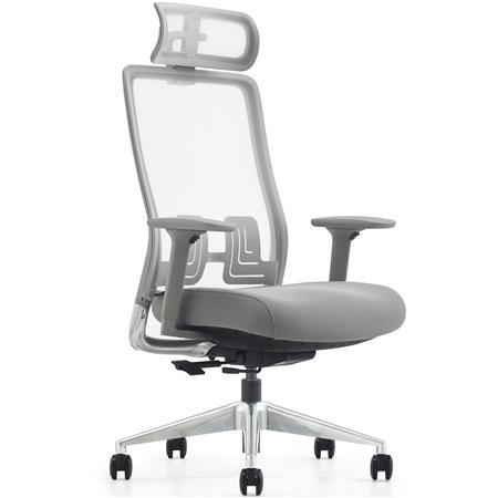 Ergonomische Bureaustoel EVORA, Diepteverstelling Zitting, Extra fijne Mesh Rugleuning, Grijs